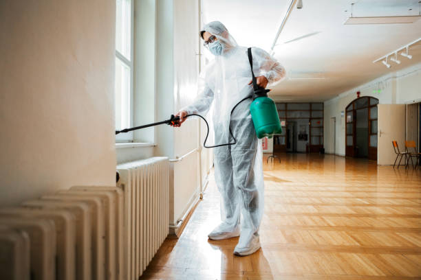 Best Fumigation Services  in Ferry Pass, FL